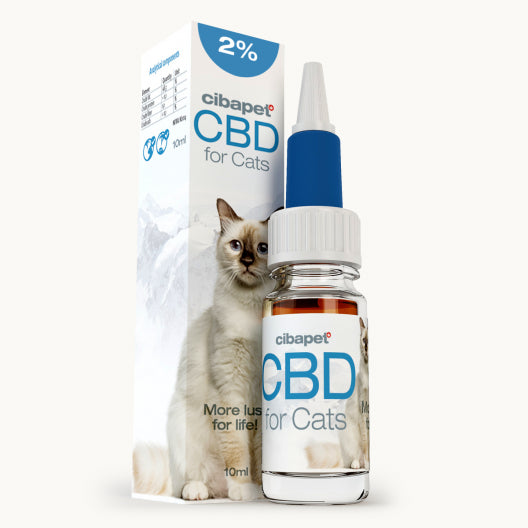 CBD oil for cats