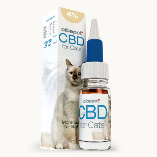 CBD oil for cats