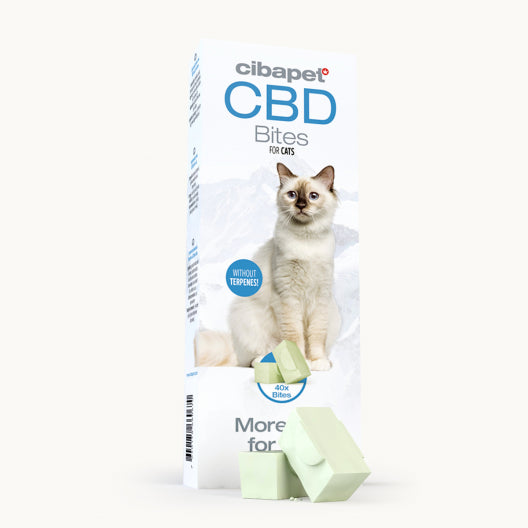 CBD Cat Treats